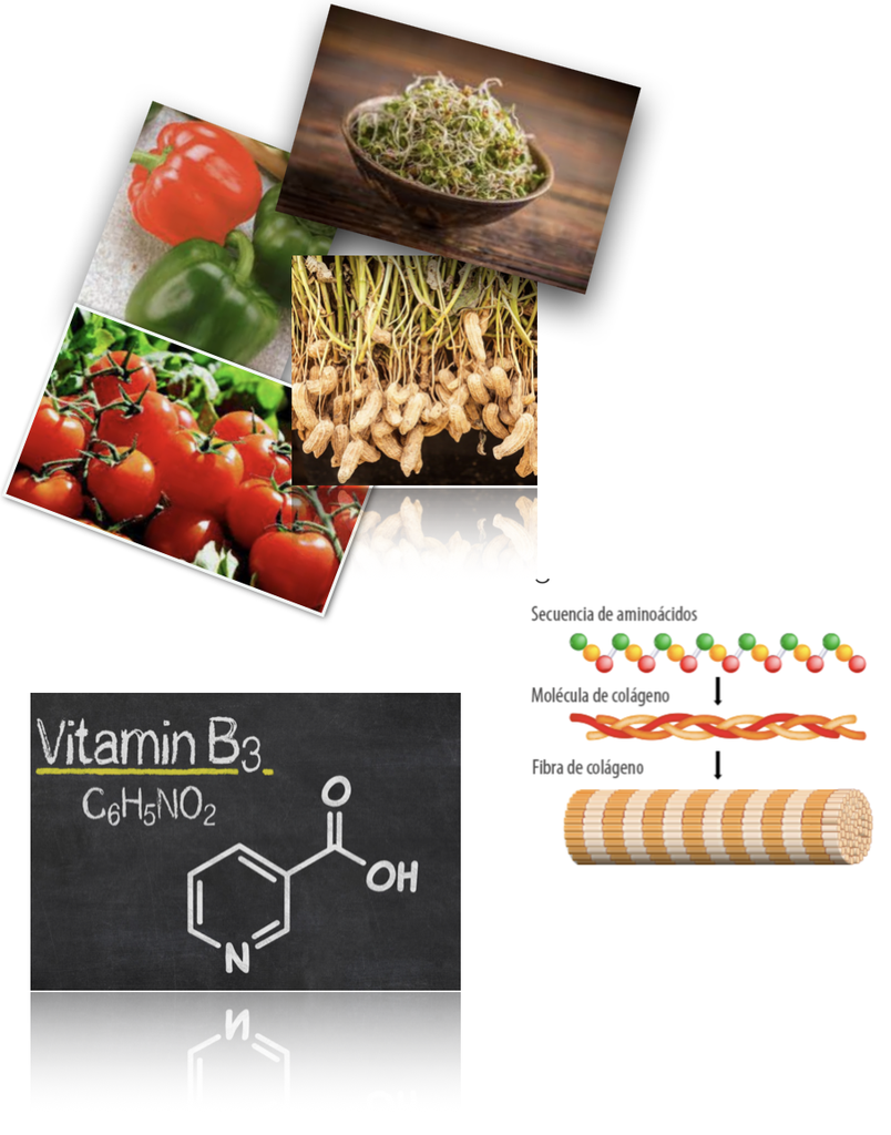[KE-VIT C, B3, Colágeno y Ac hyal COMPLEX/50] BIO activo complejo concentrado VITAMINA C, NIACINAMIDA, COLÁGENO  Y ÁCIDO HIALURÓNICO (50 gr)