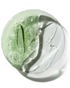 Aloe vera jugo BIOACTIVADO con B-Glucanos, acido hialuronico y  postbióticos