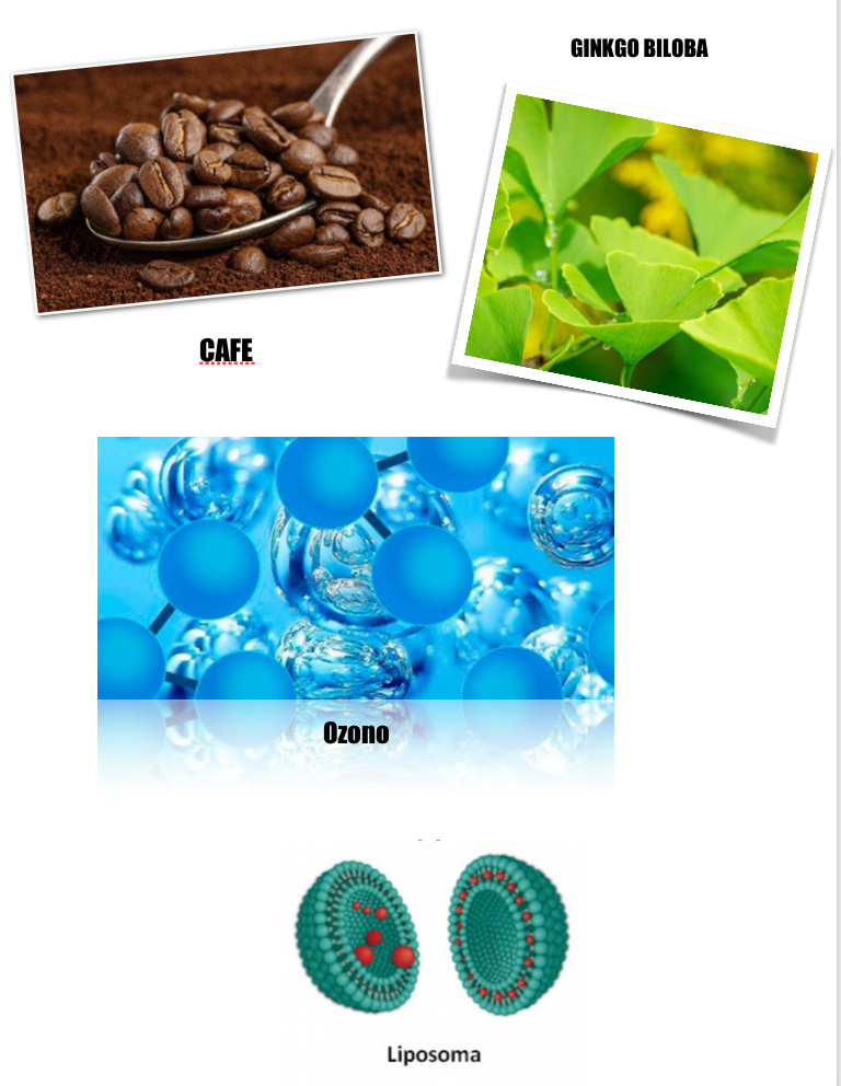 Complejo bioactivado natural CIRC (100 gr)