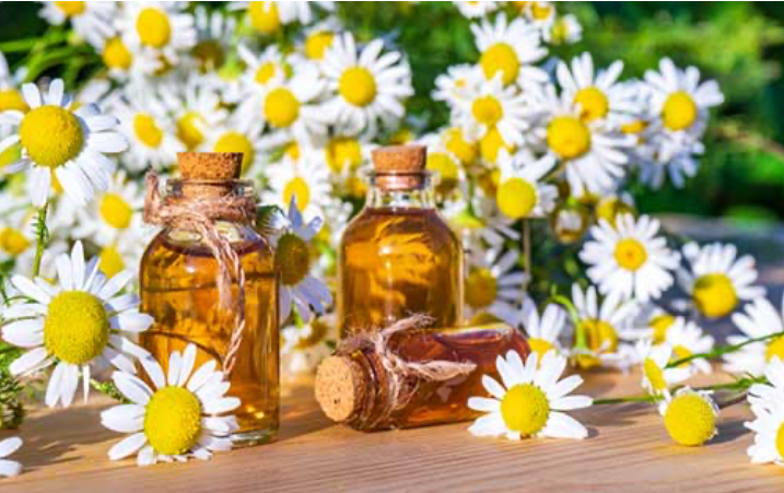 Extracto glicerinado de Manzanilla | Glycoquimia, cosmetica BIOMOLECULAR